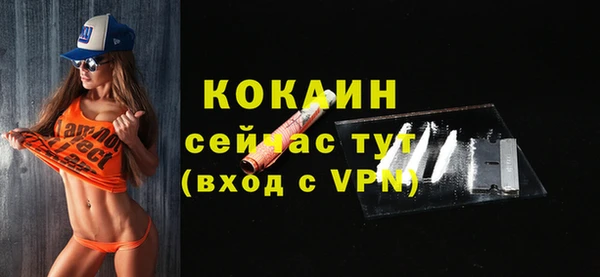 твердый Абаза