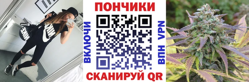 kraken   Ильский  Бошки марихуана OG Kush 